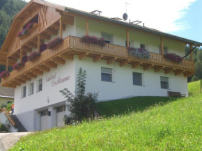 Gutshof Erschbaumer San Lorenzo Di Sebato